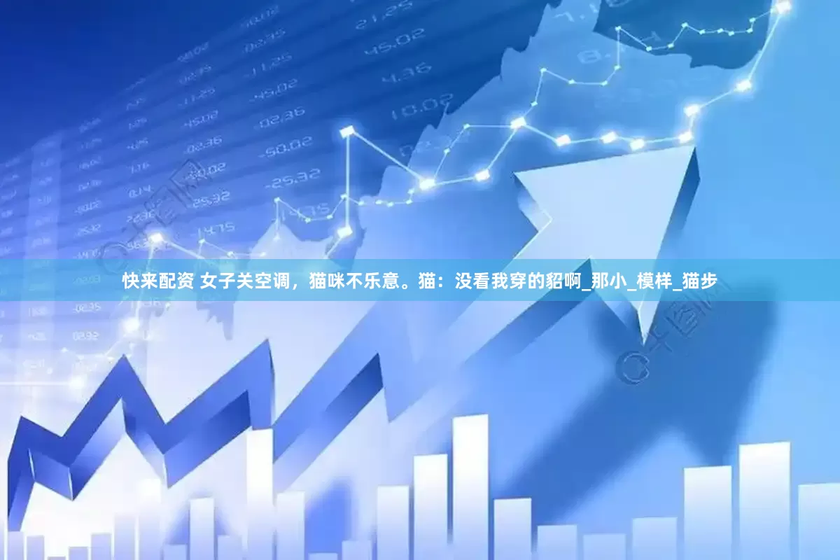 快来配资 女子关空调，猫咪不乐意。猫：没看我穿的貂啊_那小_模样_猫步