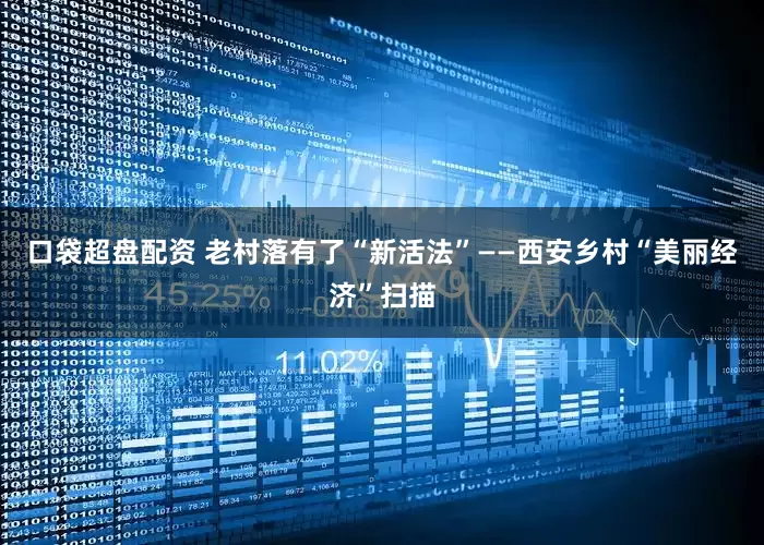 口袋超盘配资 老村落有了“新活法”——西安乡村“美丽经济”扫描
